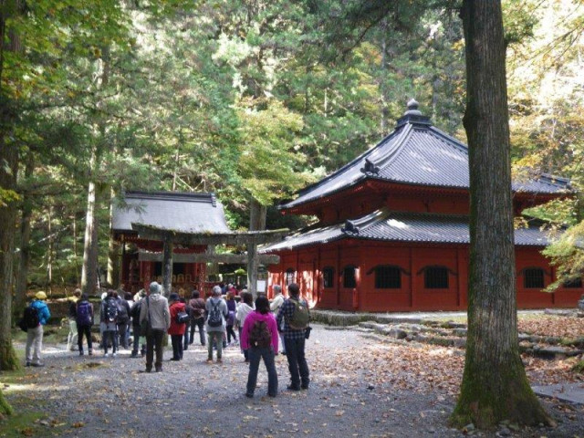 日光彫（日光彫体験） ｜体験・観光スポット ｜【公式】日光市の観光サイト 日光旅ナビ